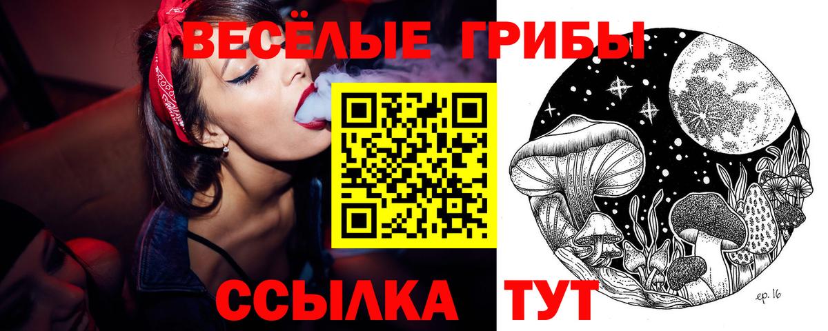 Псилоцибиновые грибы GOLDEN TEACHER Чусовой